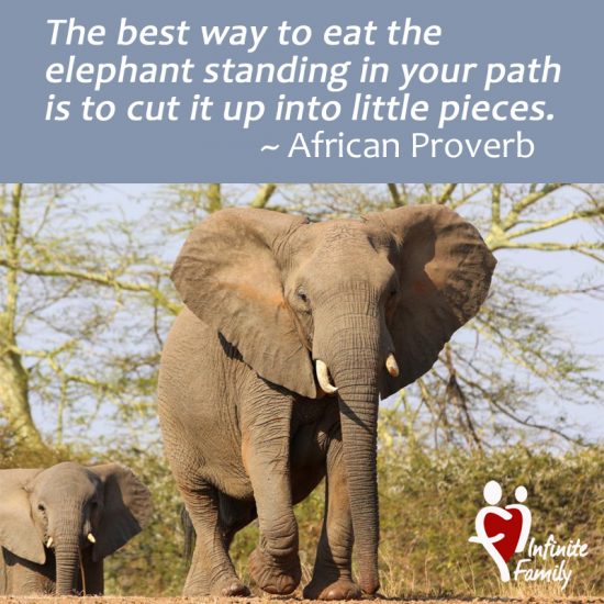 Elephant Wisdom: Eat the Elephant One Bite at a Time – Infinite Family